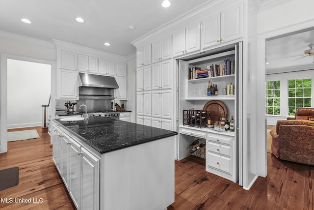 169 Pine Hill Dr, Brandon, MS 39047 - kitchen featuring under cabinet range hood, white cabinetry, ornamental molding, dark wood-style floors, and recessed lighting