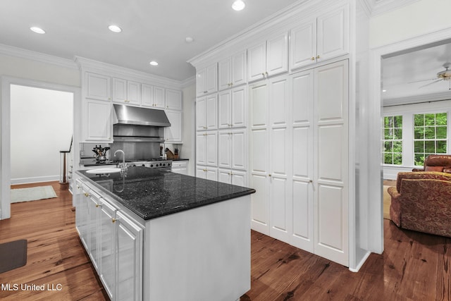 169 Pine Hill Dr, Brandon, MS 39047 - kitchen featuring under cabinet range hood, white cabinetry, ornamental molding, dark wood-style floors, and recessed lighting