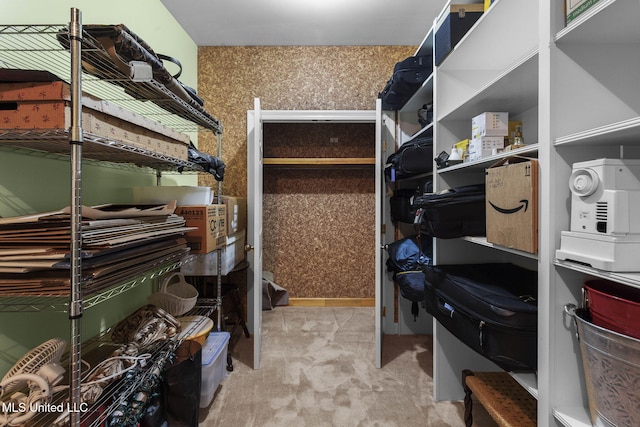 169 Pine Hill Dr, Brandon, MS 39047 - view of storage area