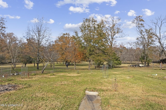 view of yard with a rural view