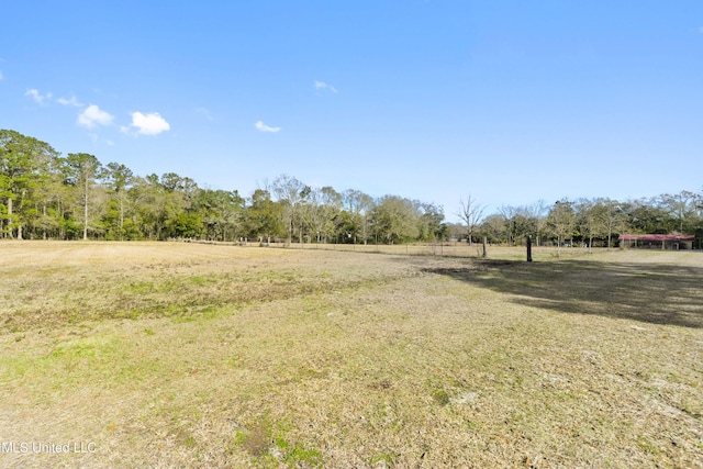 view of yard with a rural view