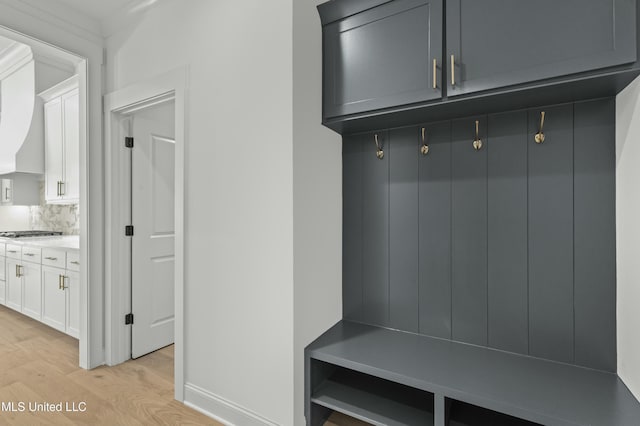 mudroom featuring light hardwood / wood-style flooring