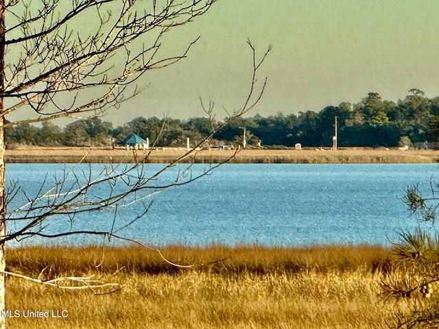 property view of water