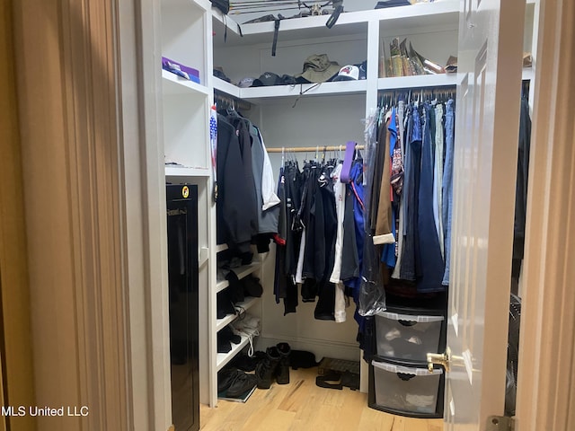 spacious closet featuring wood finished floors