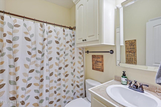full bathroom featuring toilet, a shower with curtain, and vanity