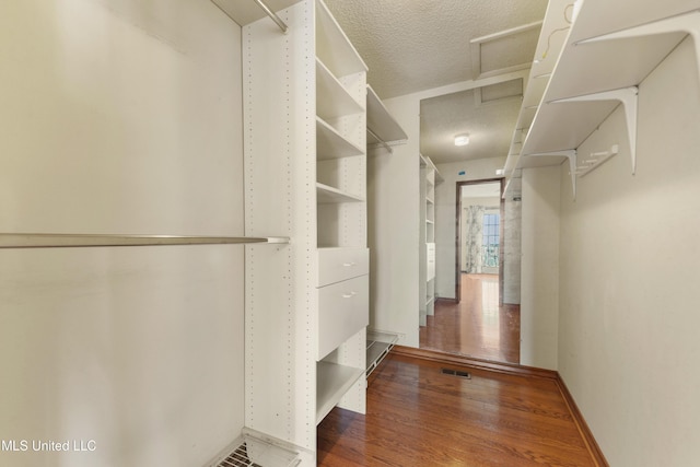 walk in closet featuring wood-type flooring