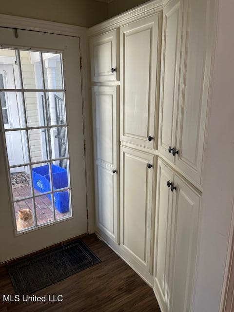 entryway featuring a wealth of natural light and dark wood-type flooring