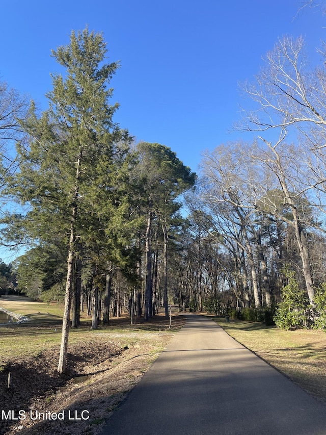 161 Autumn Woods Dr, Madison, MS 39110