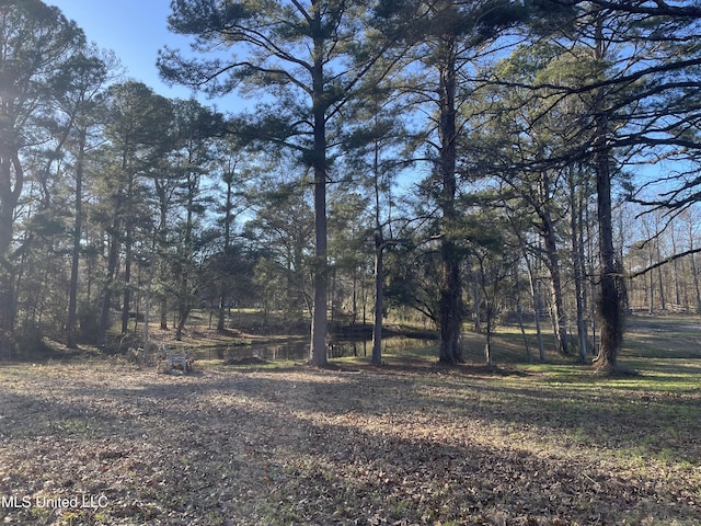 161 Autumn Woods Dr, Madison, MS 39110
