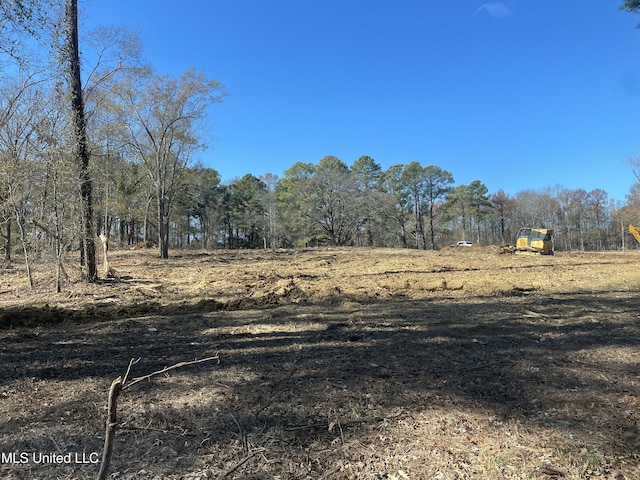 161 Autumn Woods Dr, Madison, MS 39110