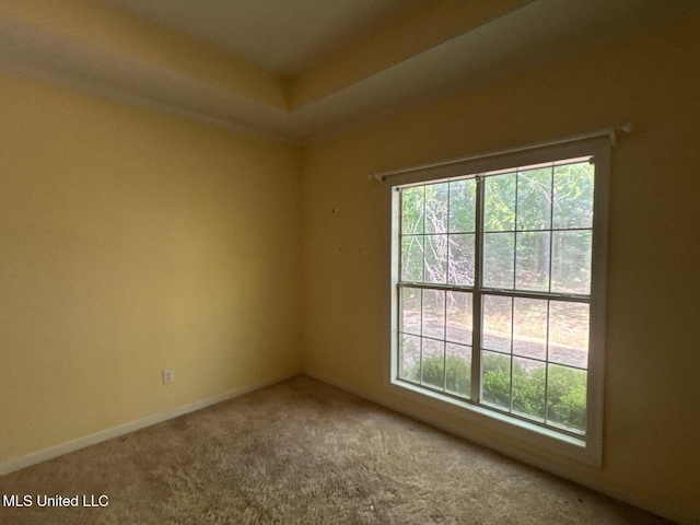 104 Warrior Ln, Clinton, MS 39056 - spare room featuring plenty of natural light, carpet floors, baseboards, and a raised ceiling