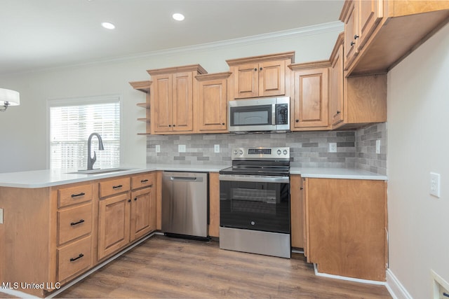 kitchen featuring backsplash, sink, dark hardwood / wood-style floors, ornamental molding, and stainless steel appliances