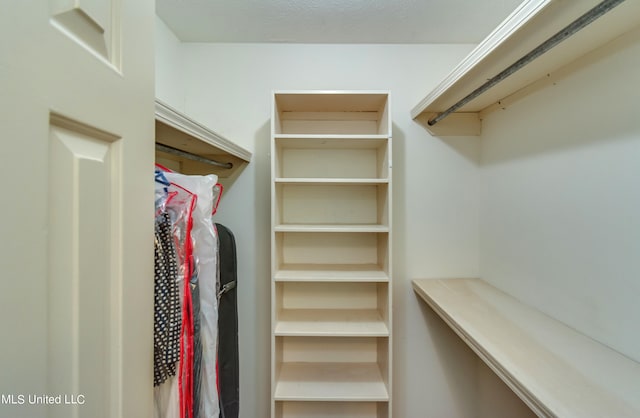 view of walk in closet