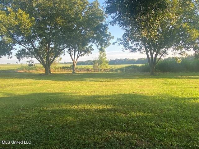 710 Eubanks Rd, Alligator, MS 38720 - view of grassy yard