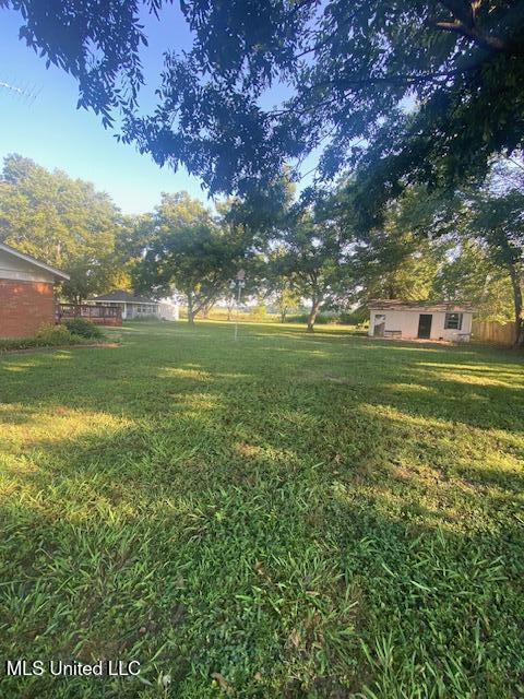 710 Eubanks Rd, Alligator, MS 38720 - view of grassy yard