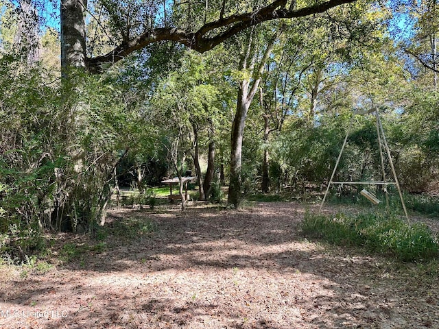 2089 Alford Bridge Rd, Summit, MS 39666