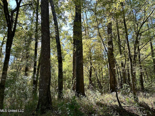 2089 Alford Bridge Rd, Summit, MS 39666