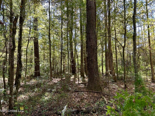 2089 Alford Bridge Rd, Summit, MS 39666