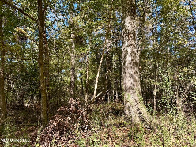 2089 Alford Bridge Rd, Summit, MS 39666