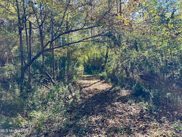 2089 Alford Bridge Rd, Summit, MS 39666