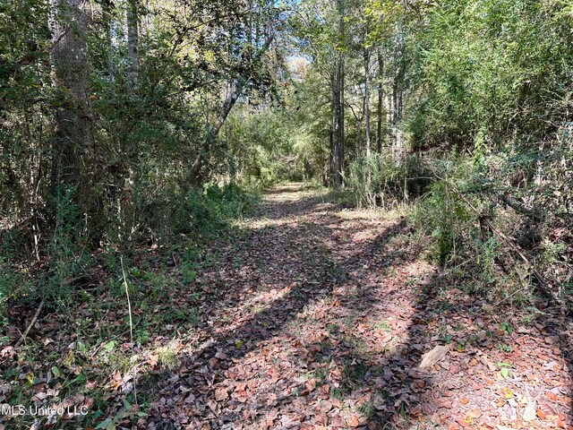 2089 Alford Bridge Rd, Summit, MS 39666