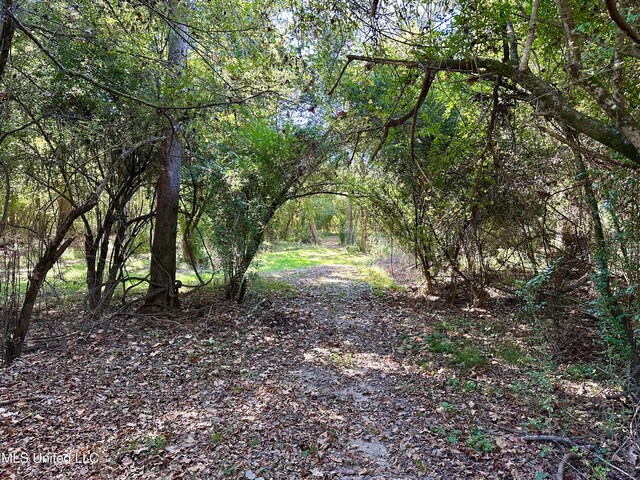 2089 Alford Bridge Rd, Summit, MS 39666