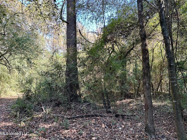 2089 Alford Bridge Rd, Summit, MS 39666