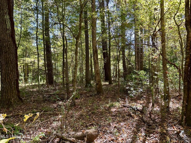 2089 Alford Bridge Rd, Summit, MS 39666