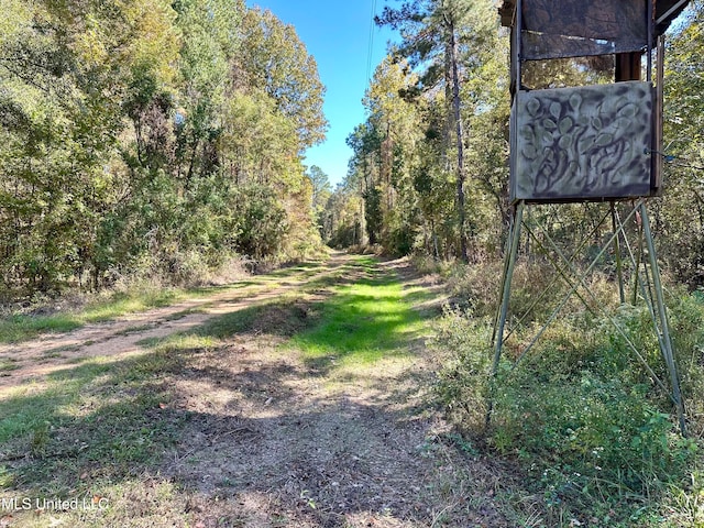 2089 Alford Bridge Rd, Summit, MS 39666