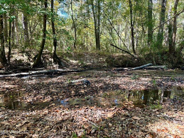 2089 Alford Bridge Rd, Summit, MS 39666