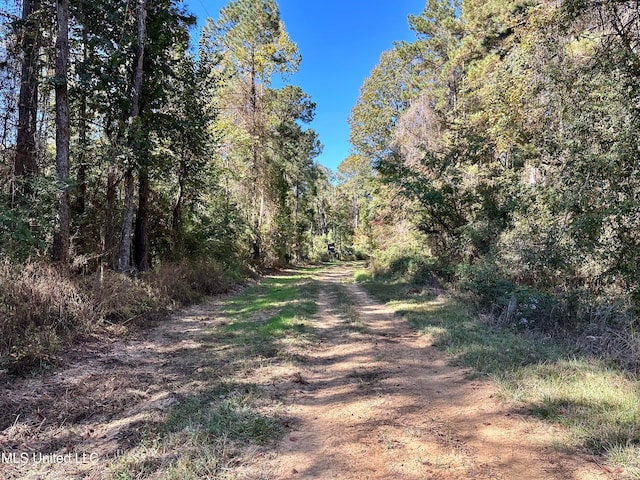 2089 Alford Bridge Rd, Summit, MS 39666