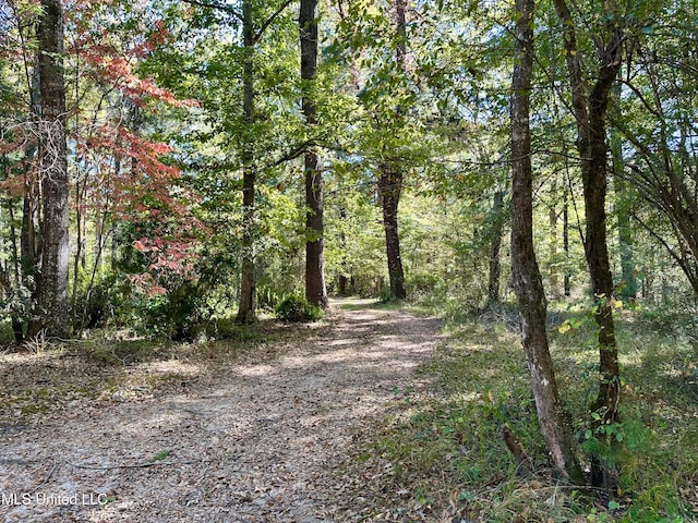 2089 Alford Bridge Rd, Summit, MS 39666