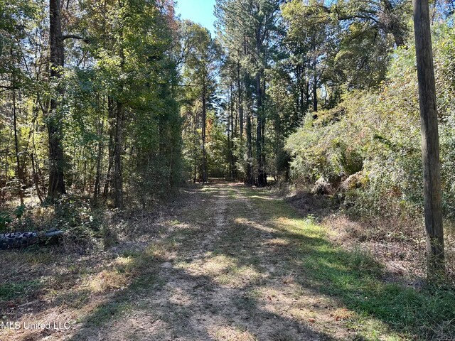 2089 Alford Bridge Rd, Summit, MS 39666