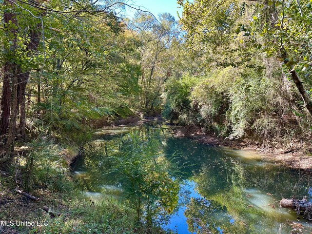 2089 Alford Bridge Rd, Summit, MS 39666