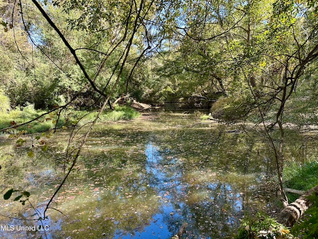 2089 Alford Bridge Rd, Summit, MS 39666