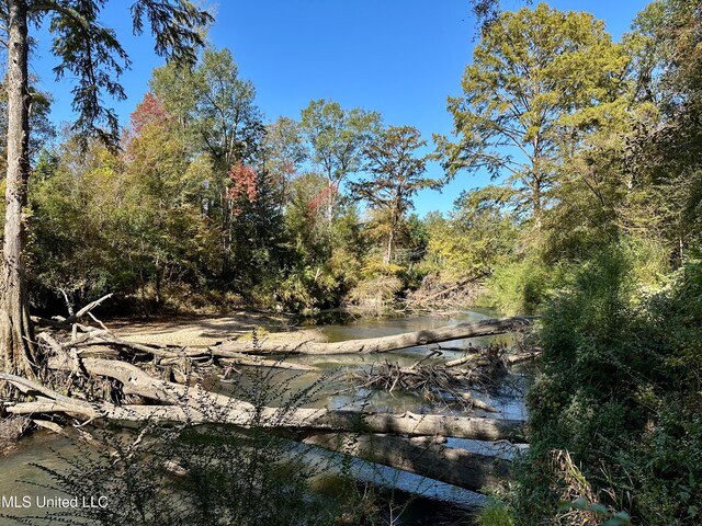 2089 Alford Bridge Rd, Summit, MS 39666