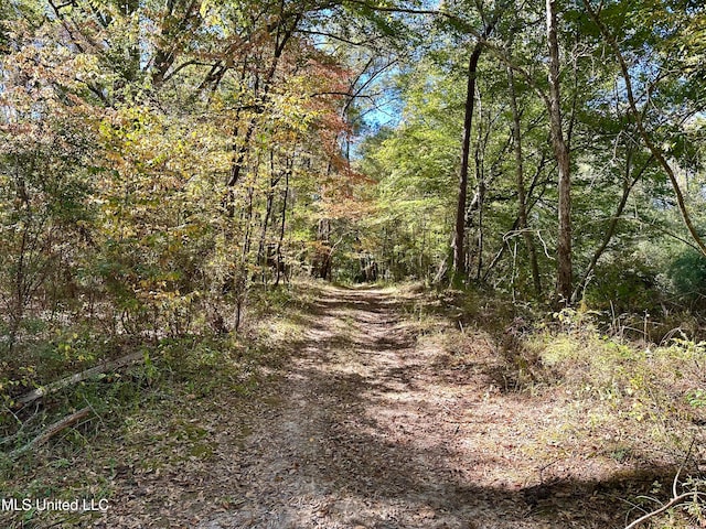 2089 Alford Bridge Rd, Summit, MS 39666