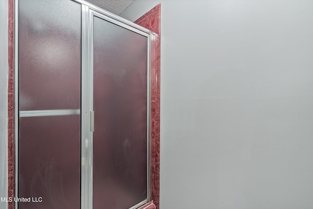 bathroom with a stall shower