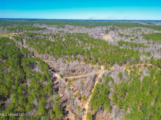 1101 County Road 437, Ashland, MS 38603