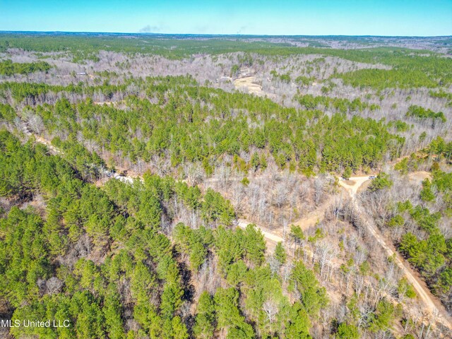 1101 County Road 437, Ashland, MS 38603