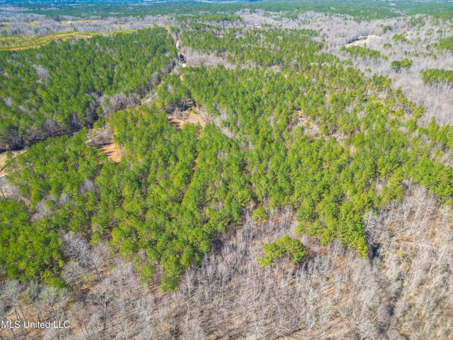 1101 County Road 437, Ashland, MS 38603