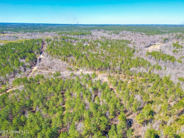 1101 County Road 437, Ashland, MS 38603