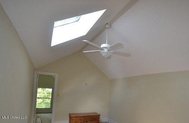 room details featuring a skylight and ceiling fan