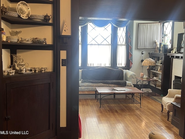 sitting room with hardwood / wood-style floors