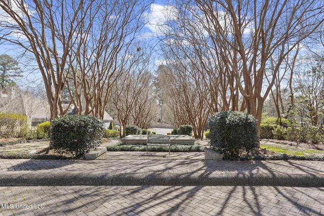 view of road with driveway