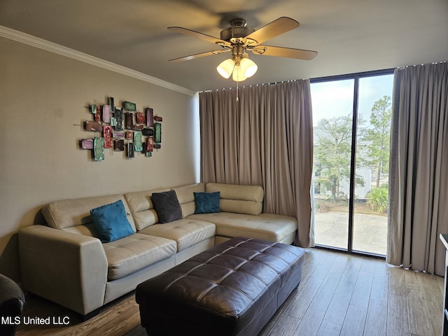 living room with hardwood / wood-style flooring, ceiling fan, and crown molding