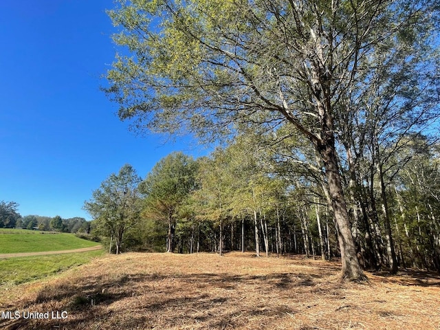 1 Lep Childress Rd, Flora MS, 39071 land for sale