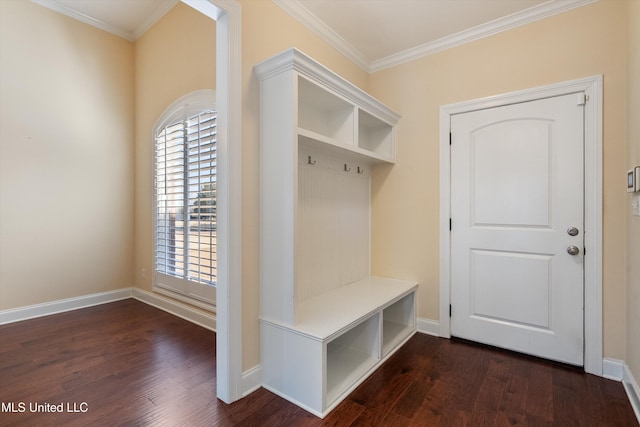 mudroom featuring crown molding and dark wood-type flooring