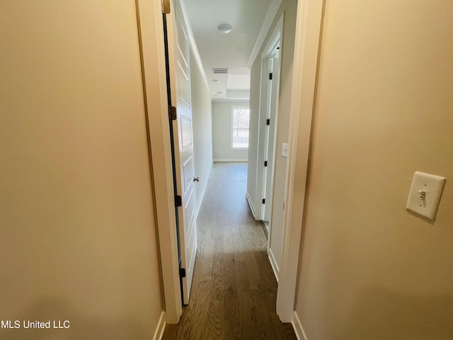 hallway featuring dark wood-type flooring