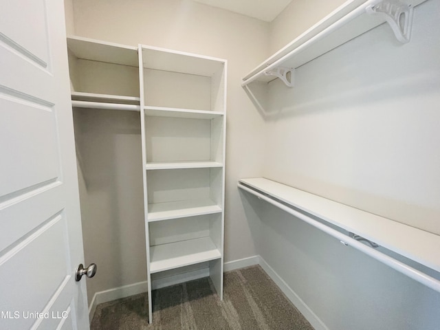 spacious closet featuring dark colored carpet